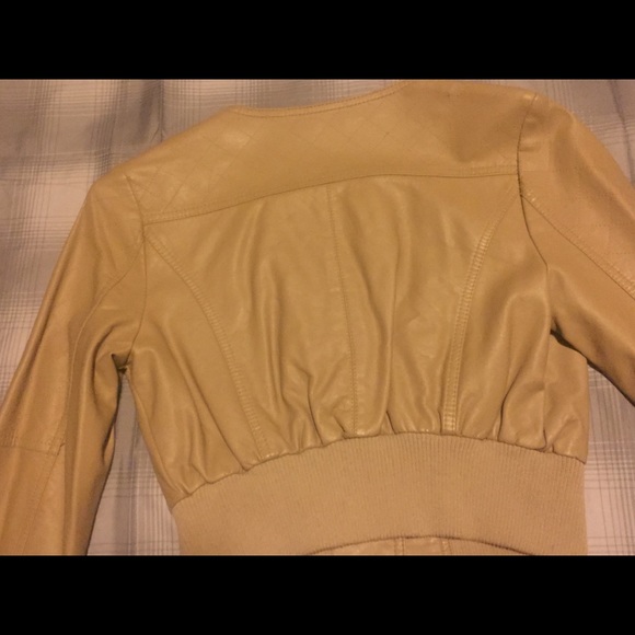 Jacket - Picture 4 of 4